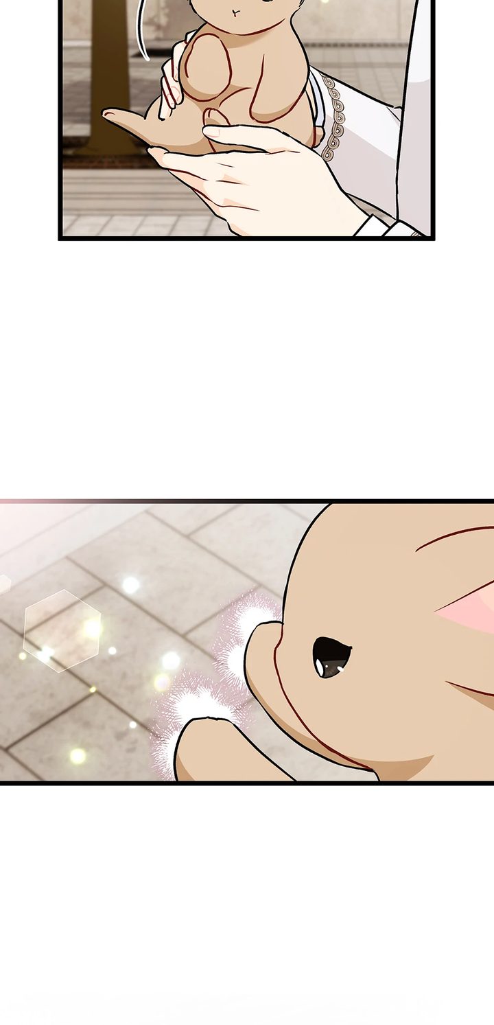 A Symbiotic Relationship Between A Rabbit And A Black Panther - Chapter 145 Page 73